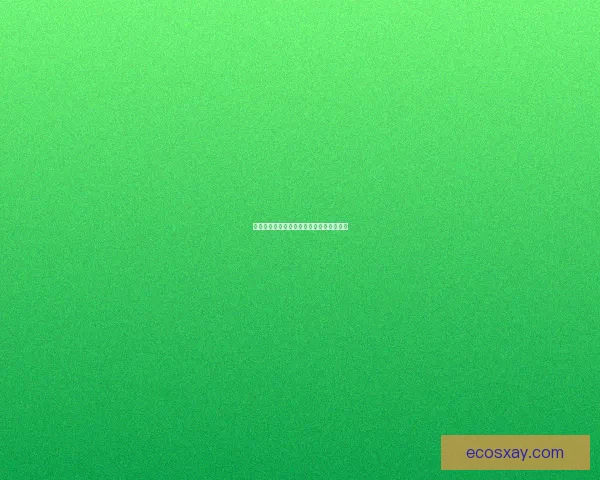 朝板每日经验获取方式详解及提升技巧分享