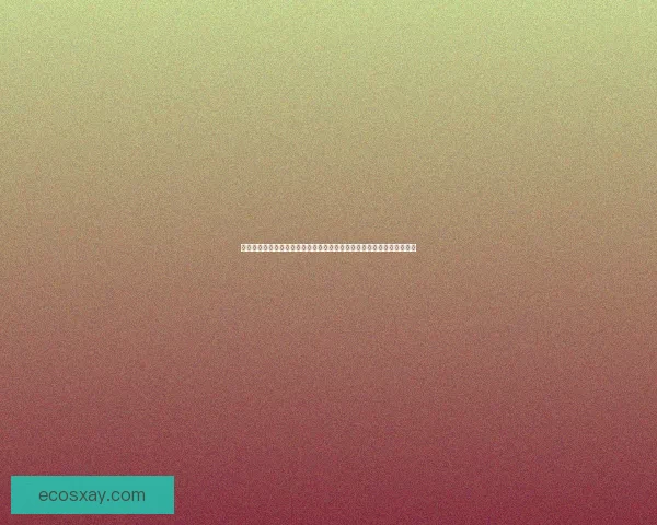 以观赛体验为核心探讨体育赛事的多元化发展与观众参与方式的创新分析